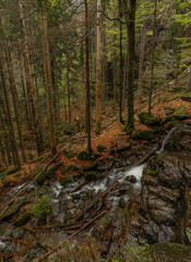 Geigenbachfalle waterfall near Groser Arber hill in Germany