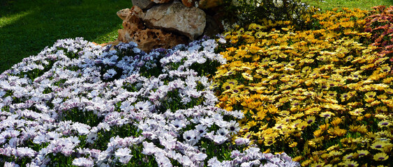 euroflora nervi parks, flower garden genoa italy