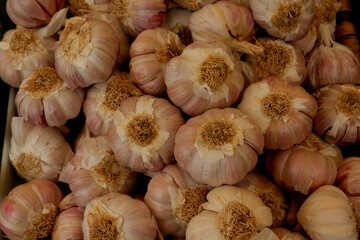 Garlic in a market in Spain