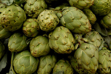 Obraz premium Artichokes freshly harvested artichokes from the garden in Spain