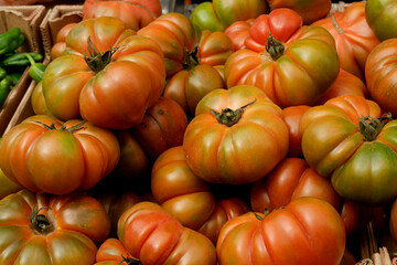 beautiful tomatoes from the orchard for sale in Spain