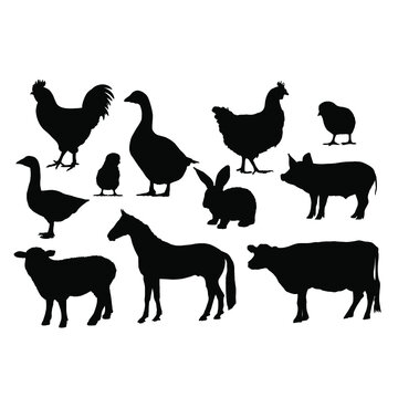 farm animals collection vector, Farm animals, clipart, art, Farm silhouette, farm animals