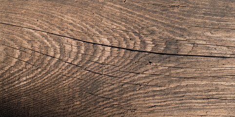 Boards made of wood material. Weathered hardwood with cracks and signs of aging