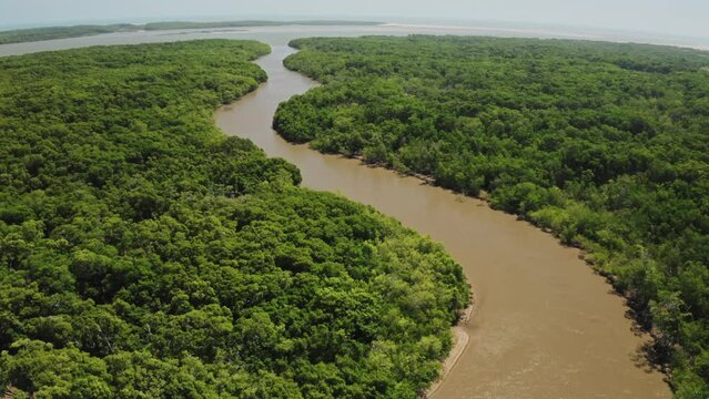 river division brown dark amazon aerial drone shot footage