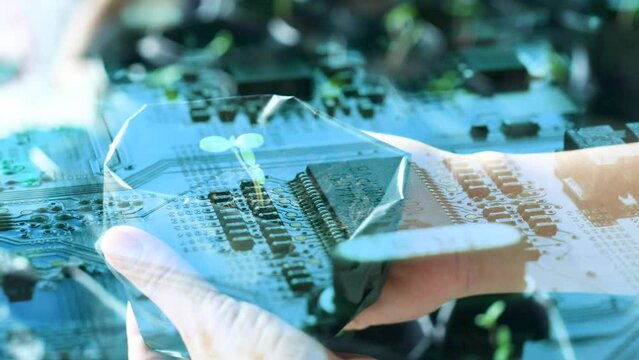 nature tree with electronic circuit board with processor