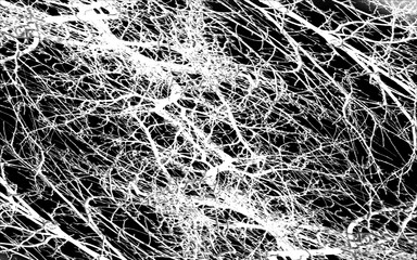 black and white effect web white web