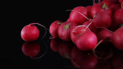  slide of fresh unwashed radishes from the garden with a black background