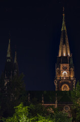 Fototapeta premium old urban cathedral tower architecture object vertical photography at night with lamp illumination
