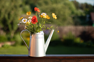 A bouquet of red poppies and daisies in a metal watering can. Summer floral background. Copy space