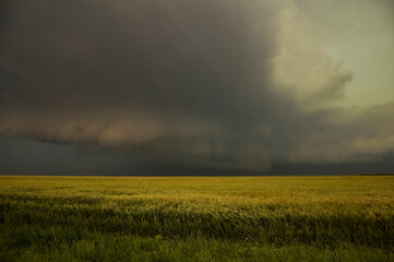 Fototapeta na wymiar tornado warned storm over the field
