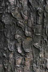 texture