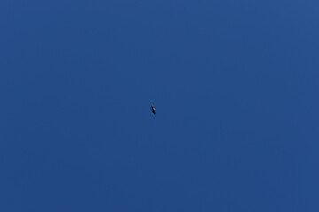 La Plaine 8 Mai 2022 (Filtre Nd)