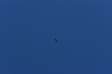 La Plaine 8 Mai 2022 (Filtre Nd)