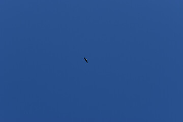 La Plaine 8 Mai 2022 (Filtre Nd)