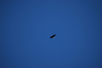 La Plaine 8 Mai 2022 (Filtre Nd)