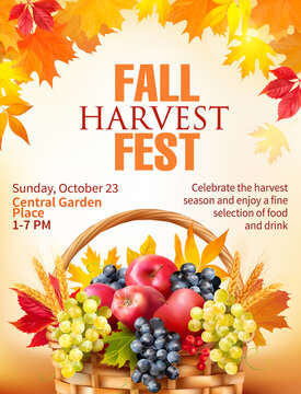 Fall Harvest Fest Poster Design With Basket Full Of Fruits. Vector Illustration. 