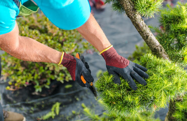 Gardener Taking Care of a Garden Plants