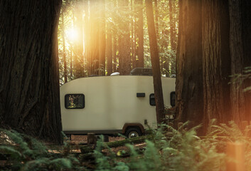 Travel Trailer RV Camping in the Redwood