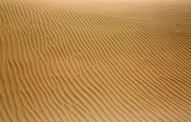Surface of sand dune - New Zealand
