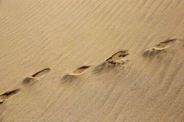 Fototapeta na wymiar Human tracks on sand dune - New Zealand