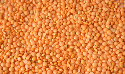 background of red lentils. horizontal texture grains