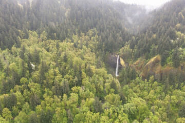 Surrounded by healthy forest, a beautiful waterfall drops almost 250 feet, eventually flowing into the Columbia River in Oregon. The Pacific Northwest is known for its lush, biodiverse forests.