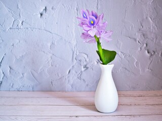 Purple flowers in vase on the table,Purple-pink flower still life on texture background or wallpaper Common water hyacinth Eichhornia crassipes Pontederia crassopes Kochuripana ,copy space for letter