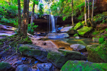 BM Oakland fall low moss rocks