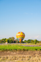 Obraz premium Hot air balloon in the flower garden