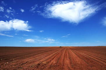 Landscape of agricultural field,  south of Portugal