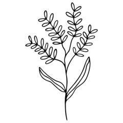 Flower Plant Leaves hand drawn Line Art Illustration