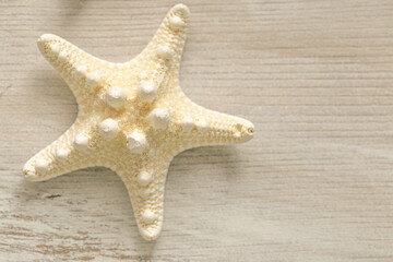  summer Wallpaper. beige starfish on white shabby chic board background.Summer nautical decor.Background in a marine style in beige tones