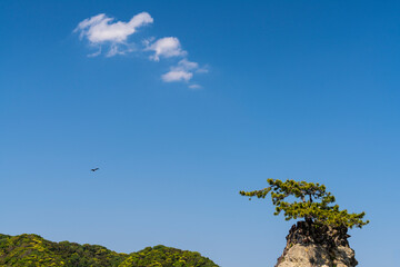 千貫松と空