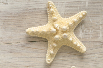 Summer nautical Wallpaper. beige starfish on white shabby chic board background..Background in a marine style in white and beige tones