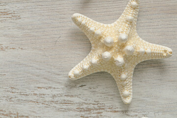 Starfish. White starfish on white shabby chic board background.Summer nautical decor.Background in a marine style