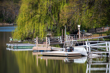 Boat docks and a willow tree on the lake