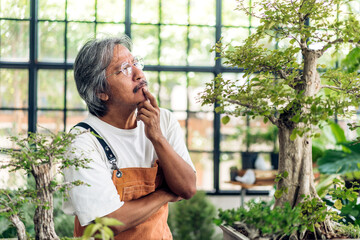 Happy gardener senior old eldery man looking at young plant watering and gardening with potted plants taking care small tree in garden at home.Retirement concept