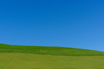 日本の観光地である奈良の若草山の風景