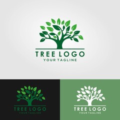 Abstract living tree logo design, roots vector - Tree of life logo design inspiration isolated on white background