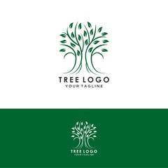 Abstract living tree logo design, roots vector - Tree of life logo design inspiration isolated on white background