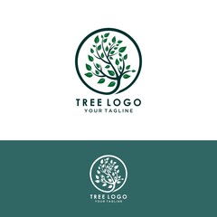 Abstract living tree logo design, roots vector - Tree of life logo design inspiration isolated on white background