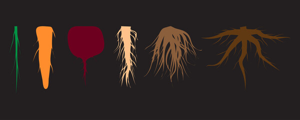 colored roots on a black background. Floral branch. Vector illustration. Stock image.