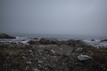 rocks in the fog