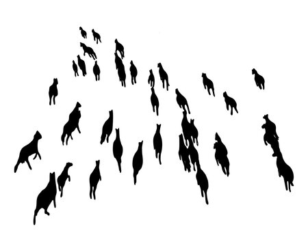 Set of horse silhouette in line art style.Horse vector by hand drawing.Horse tattoo on white background.Illustration of a herd of horses running in the meadow