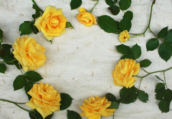 黄色のバラフレーム（生花）