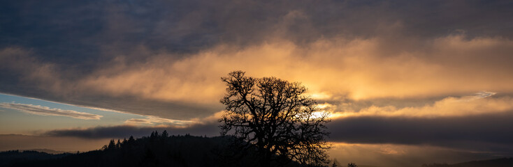 Fototapeta na wymiar A solitary oak tree is a silhouette in front of a glowing sunset sky in Oregon, textured clouds and strong light against clouds and fog.