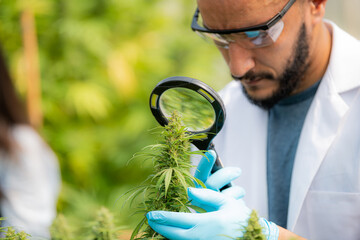 portrait of a scientist wearing a mask, goggles and gloves inspecting a cannabis plant in a greenhouse. Concept of alternative herbal medicine, CBD oil, pharmaceutical industry
