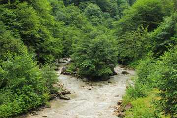 Muddy river in the canyon.