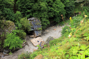 Naklejka premium Muddy river in the canyon.