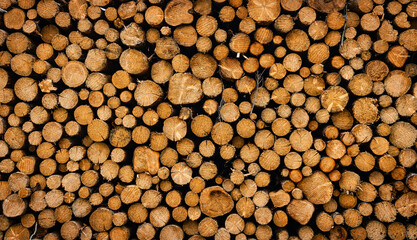 Holzstapel Polterplatz